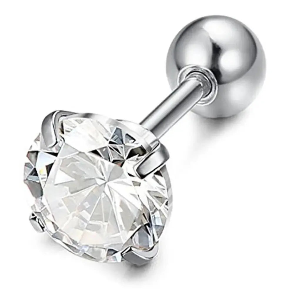 Unisex Zirkoon Roestvrij Staal 4 Prong Oorbellen VIQA© NEDERLANDZilver